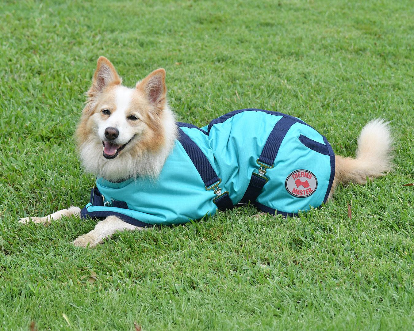 Thermo Master Supreme Dog Coat - Teal/Navy - Image 6