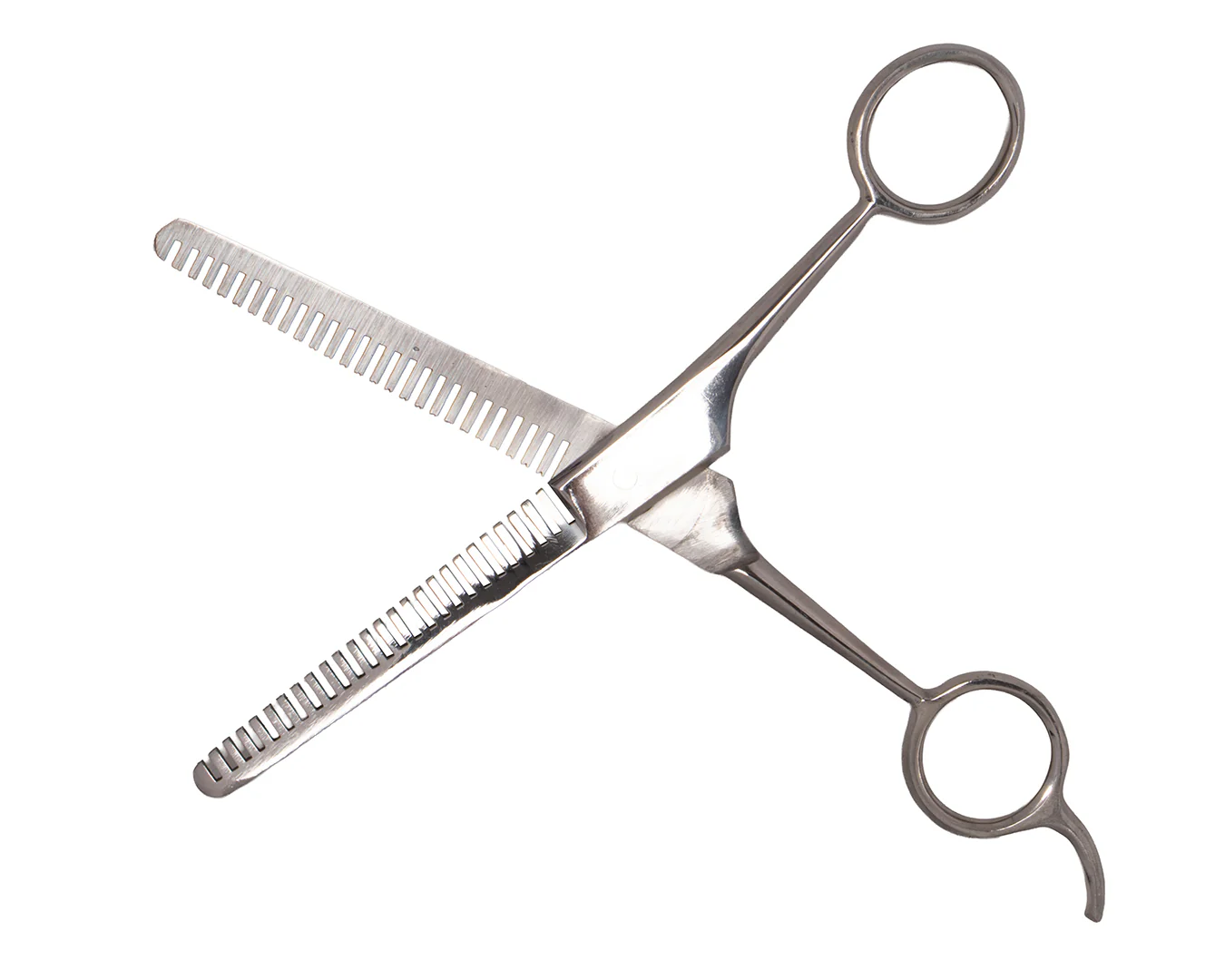 Show Master Thinning Scissors