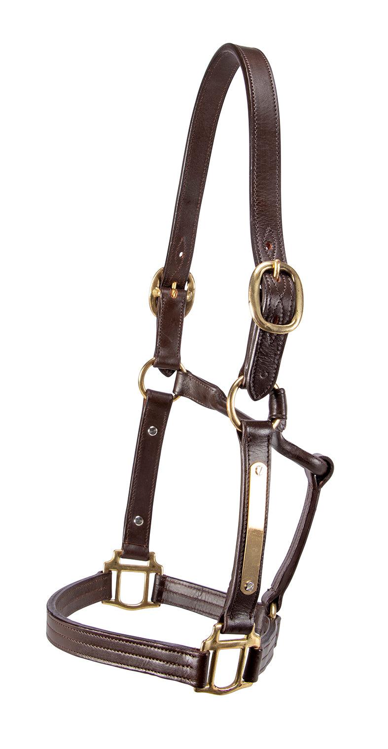 Thoroughbred Nameplate Halter