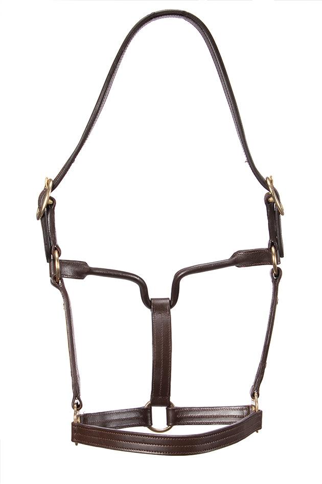 Thoroughbred Nameplate Halter - Image 3