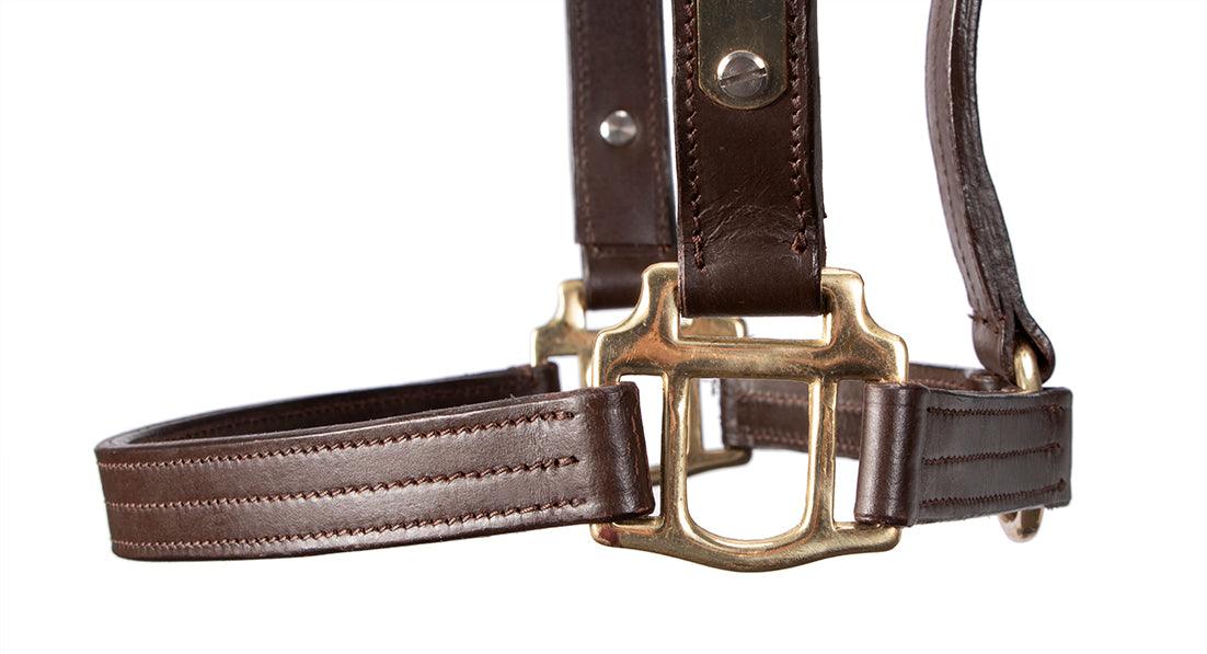 Thoroughbred Nameplate Halter - Image 4