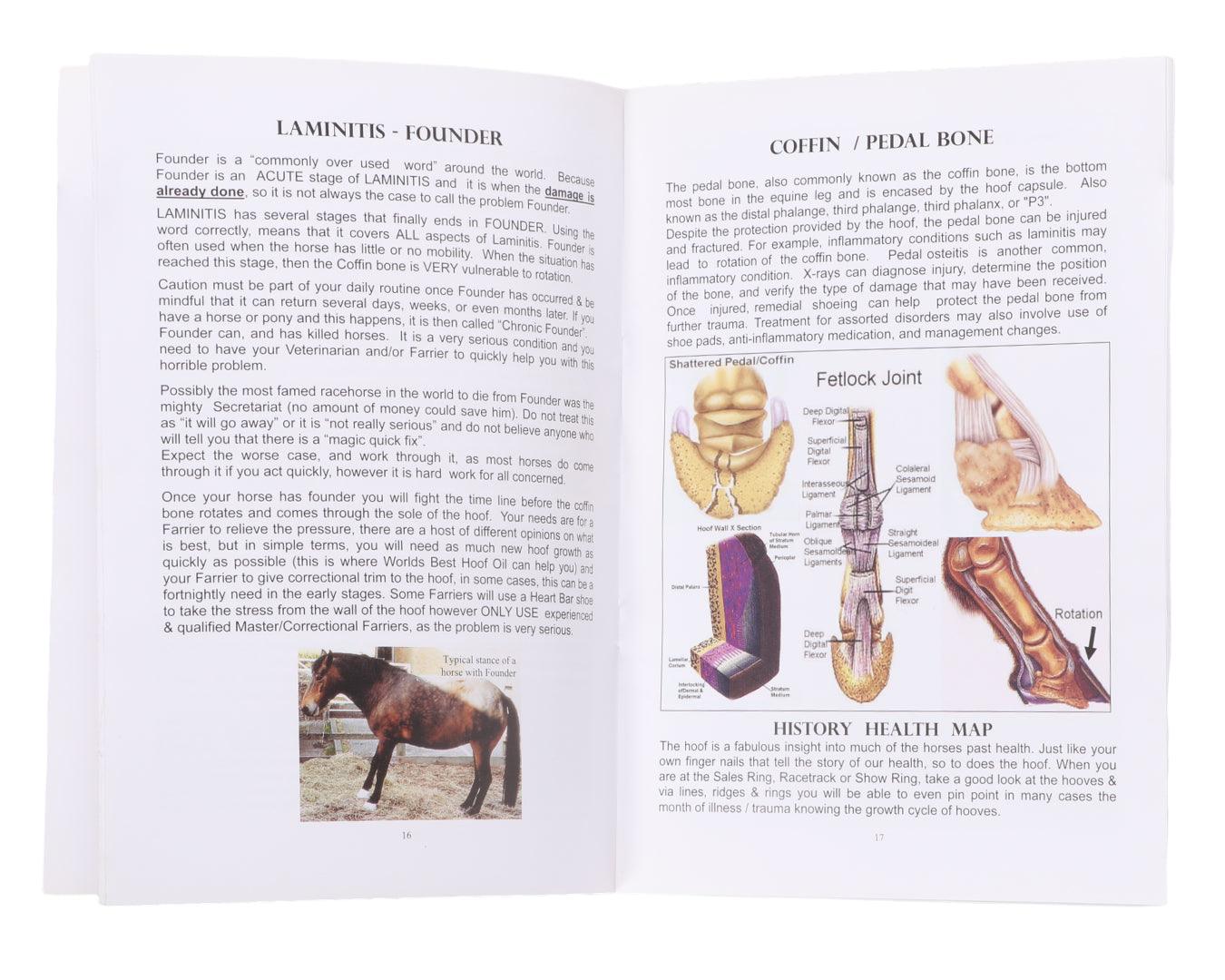World's Best Hoof Oil Guide: Equine Hoof Problem Solutions - Image 2
