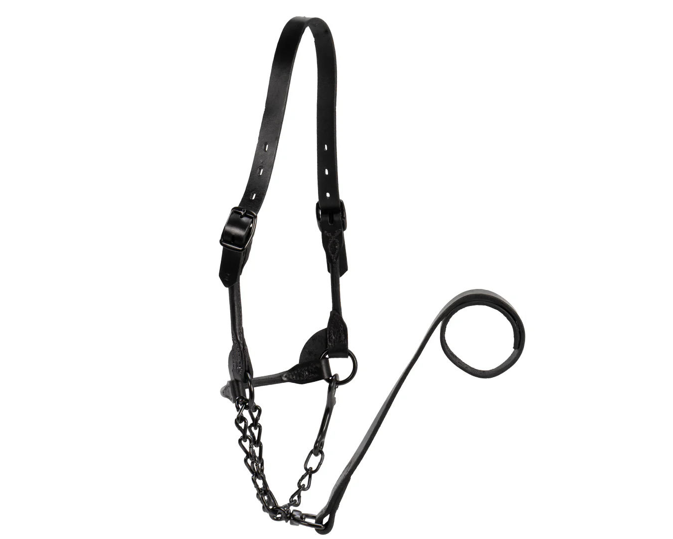 Weaver Black Magic Cattle Show Halter - Image 4