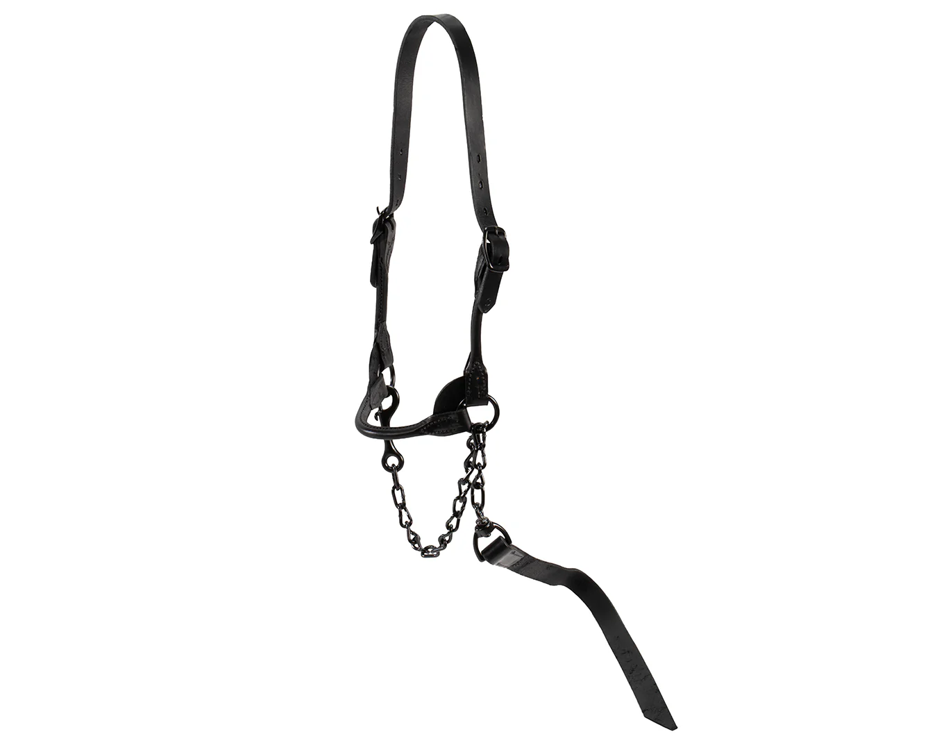 Weaver Black Magic Cattle Show Halter - Image 5