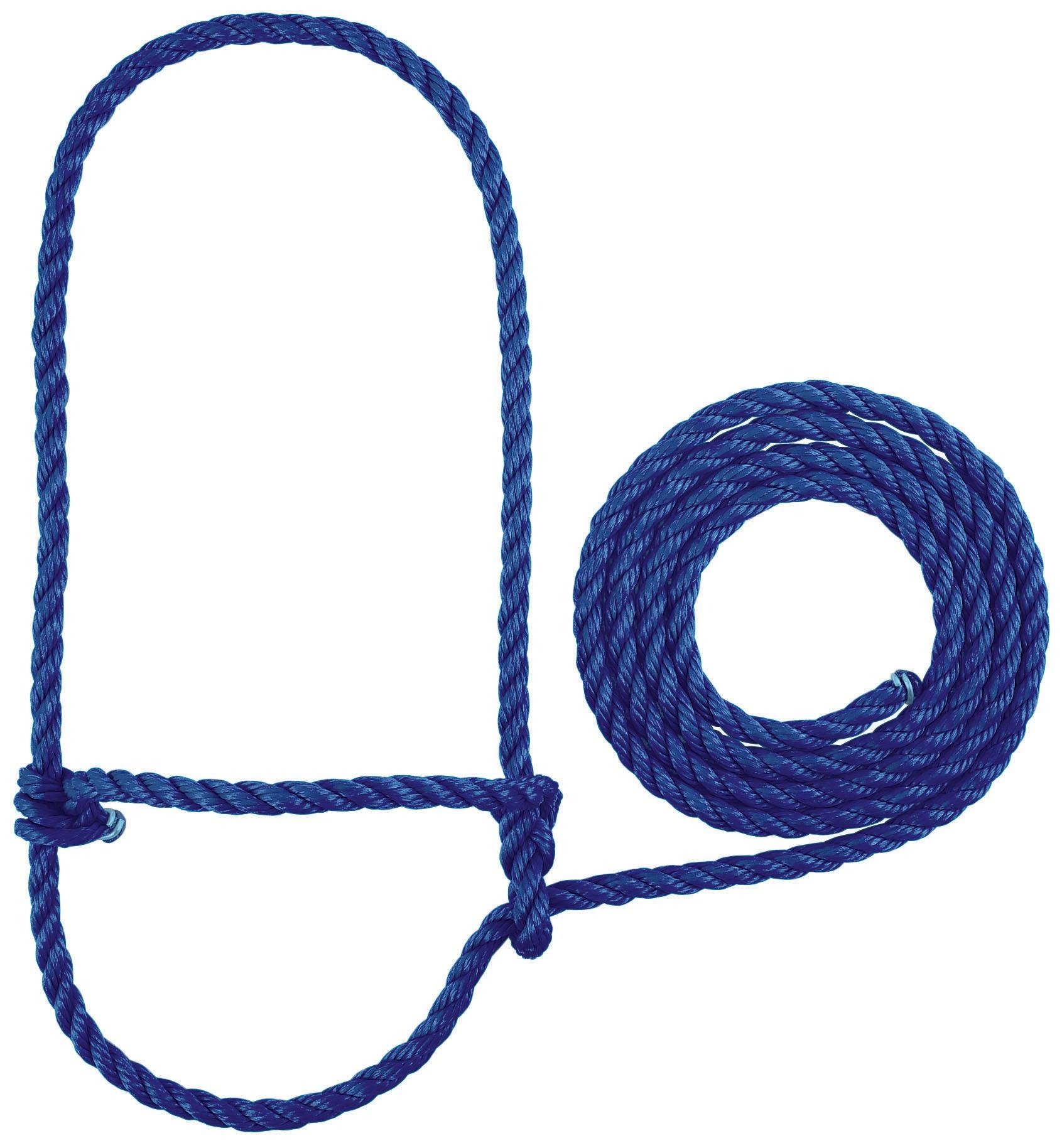 Weaver Calf Rope Halter - Blue
