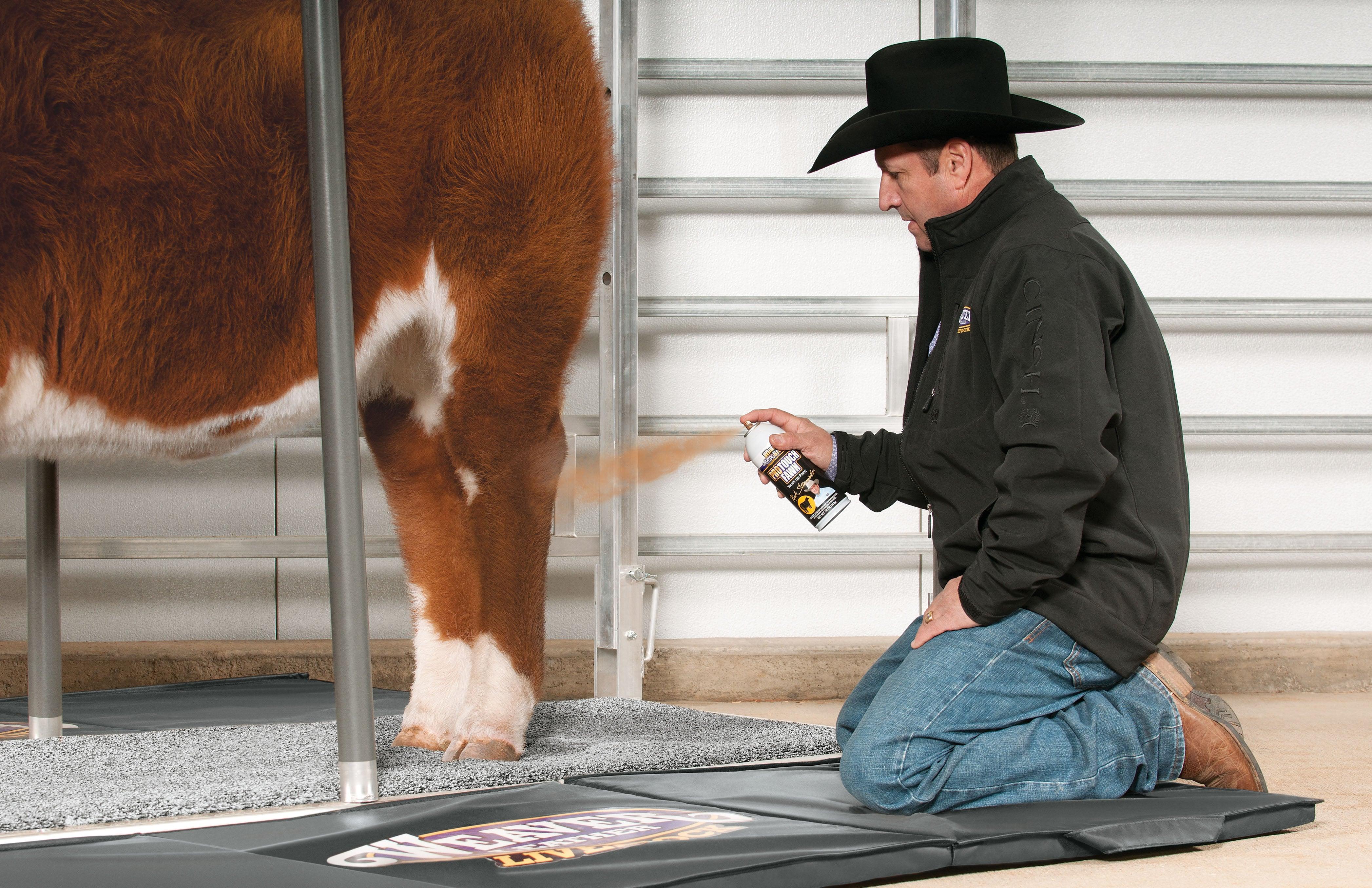Weaver Stierwalt ProTouch Fawn - Image 3