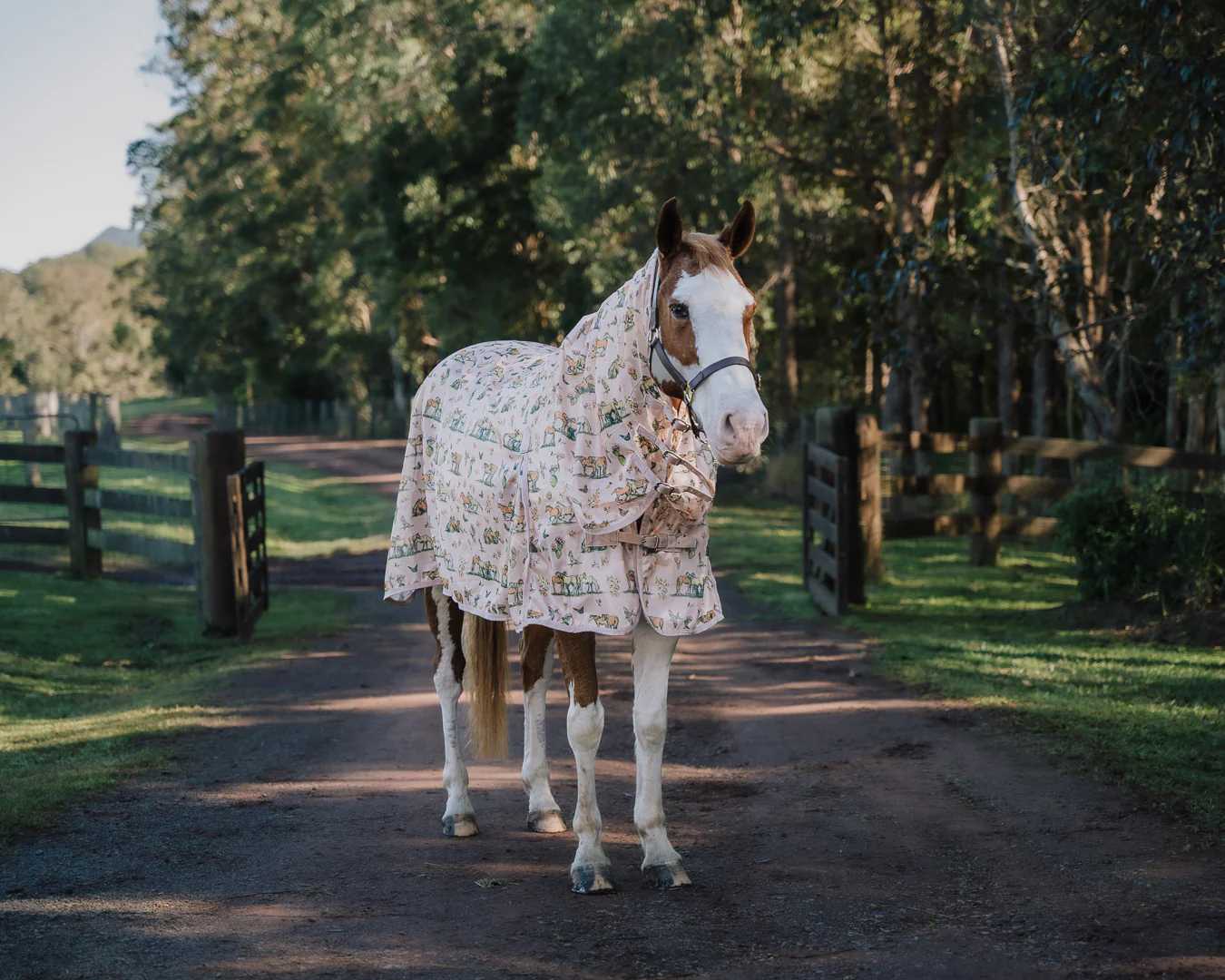 Bobby Fly Mesh Printed Combo - Wild Horses - Image 2